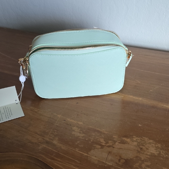 Valentino Orlandi Light Green Crossbody Bag with Gold Accents - Picture 4 of 5